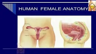 IMPORTANCE OF SEX EDUCATION