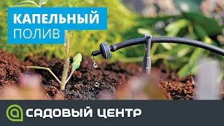 Всё о капельном поливе для дачи и огорода. Стройпарк