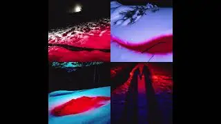DEAD - Swallow The Whole World