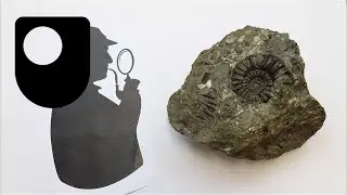 How to identify the different types of rocks
