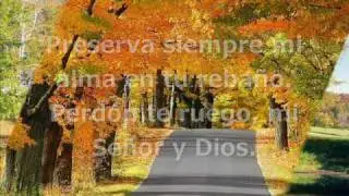 Si Fui Motivo de Dolor.