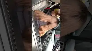 В конце Ростислав Басс Влог 🔥