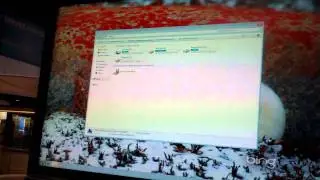 How USB thumb drives work with Windows MultiPoint Server