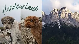 Hundeurlaub in Garmisch-Partenkirchen / Wanderurlaub mit Hunden