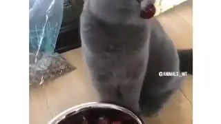 42477373 311263069685480 6217558013050982549 n