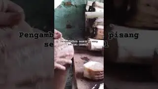 Pengambilan serat pisang secara manual