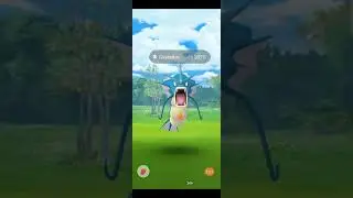 All of my gyrados raids from today's event! Shiny!
