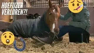 Wie is er ziek? Liv haar ijzer kwijt?! 