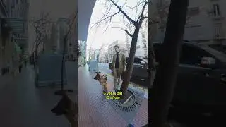 Gracias por dejarme sacarle fotos a Cosmo y por tu buena onda!