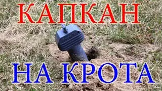 Капкан на крота