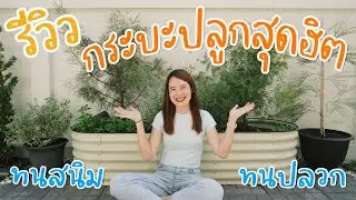 ประกอบกระบะปลูกต้นไม้ สวยแบบมินิมอล | อยู่กับบ้าน EP.6