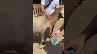 Мощный