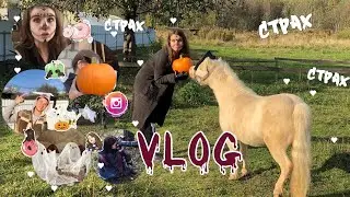 Vlog! День на конюшне. Фотосессия.