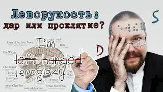Левши против. Ежи Сармат не прав?