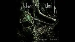 Glass Eye Filter - Day 278 [Album Version]