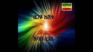 Tsegaye Eshetu - abay negade