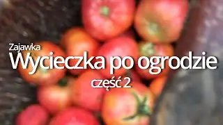 Wycieczka po ogrodzie część 2 zajawka 2023