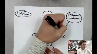 Hinduism & Buddhism - Double Bubble Tips