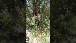 Ловим рой. Что-то пошло не так...