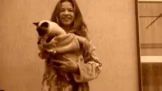Моя кошка...