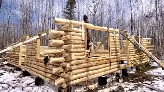 Building A Big Log Cabin Alone In The Woods: Notching Heavy Logs Around Windows
