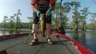 Caddo Lake Louisiana