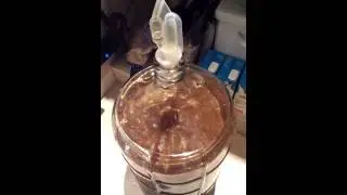NorthwestBrownAle Fermentation 18June2014