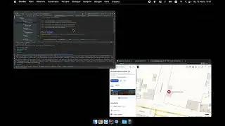 13. Nominatim Reverse API