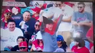 Emi reporting about Shohei Ohtani