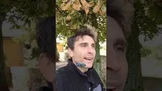 Альтернативная этимология «КОСТЁЛ»