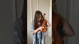 Kalo kotor cuma bisa di lap kering aja. Jadi jangan sampe kena air ya!!!😭 #violintutorial#violinist