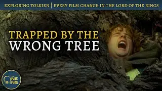 Why Peter Jackson CUT the Old Forest and Old Man Willow