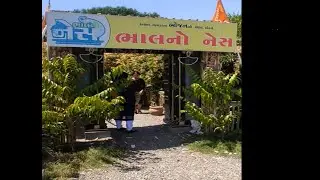 ભાલ નો નેશ  Food review | SurtiRider | Bhal no nesh #foodreview #kathiyawadi #kathiyawadifood