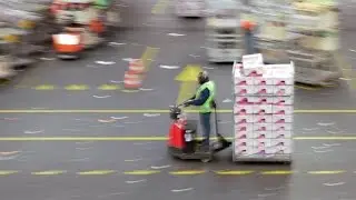 Aalsmeer flower auction - carts
