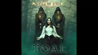TOAL - Stigmata