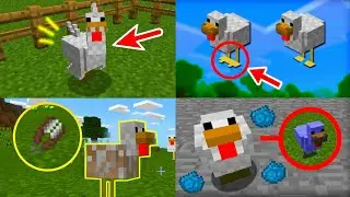 6 TRUCOS SUPER EPICOS CON LOS POLLOS EN MINECRAFT - TRUCOS MCPE