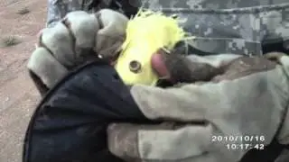 Is Kevlar Bullet Proof?