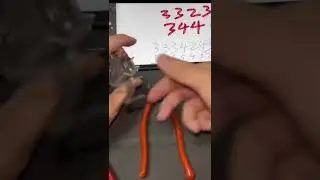 Lishi Key Cutter Cutting a Door Key without Original key