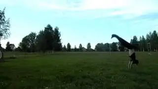 Просто кадры с лета