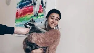 ТАТАРСКИЕ БУДНИ / В ГОСТЯХ У ЕНОТОВ ❤