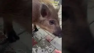 Дыня-вкусно😍 