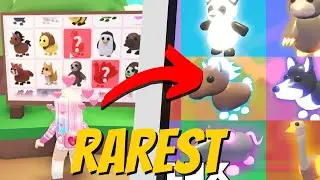 8 Rarest Pets in Adopt Me on Roblox