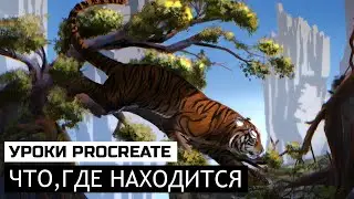 Что,где находится в Procreate. Урок 2