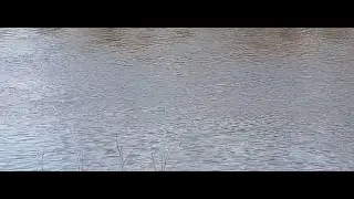 Несколько мгновений весны/Водный релакс успокоит нервы/Для души
