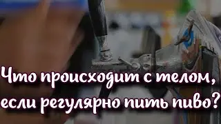 Что происходит с телом, если регулярно пить пиво