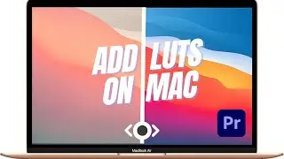 How To Add LUTs In Premiere Pro Super Fast!