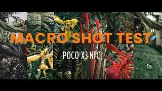 XIAOMI POCO X3 NFC MACRO SHOT TEST | Set 1