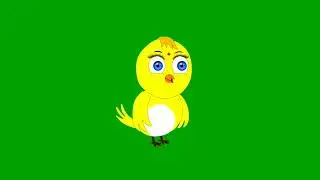 A bird talking green screen | Green screen animation character bird| Green screen birds | cartoons