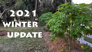 2021 Winter Progress