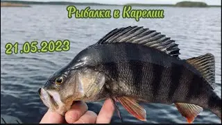 Рыбалка 21.05.2023
